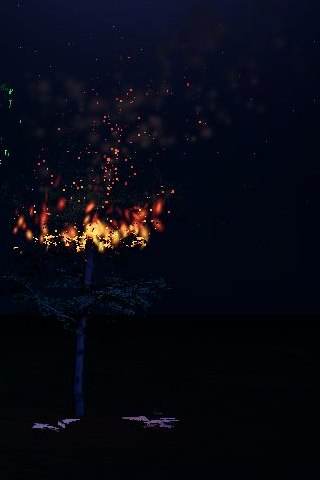 A tree burning, embers rising from the canopy